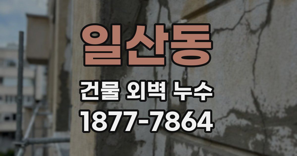 일산동 건물 외벽 누수