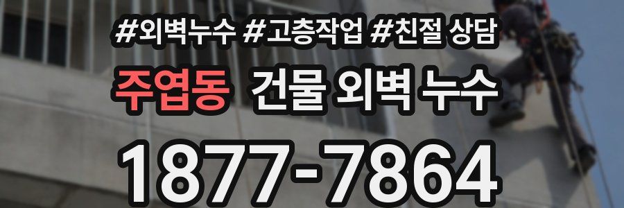 주엽동 건물 외벽 누수