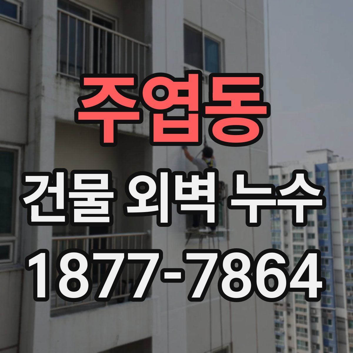 주엽동 건물 외벽 누수
