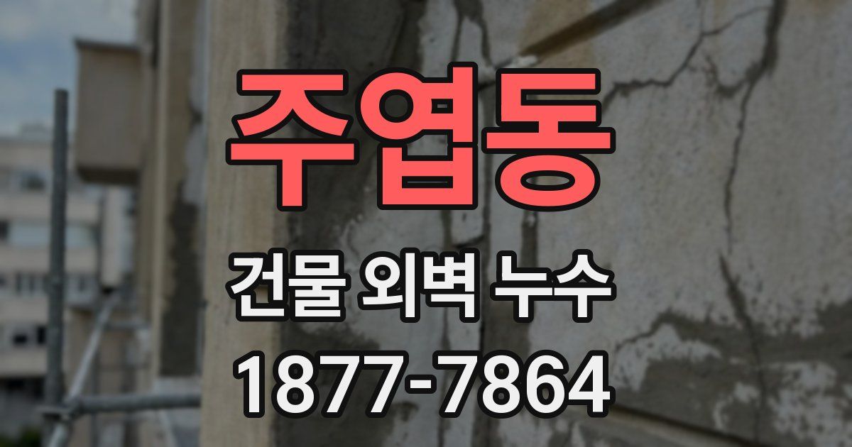 주엽동 건물 외벽 누수
