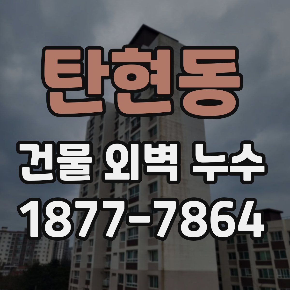 탄현동 건물 외벽 누수 진단 후 보수 우선순위 정하기