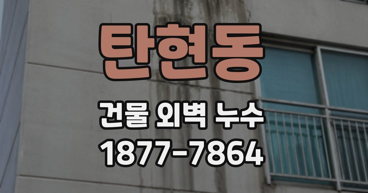 탄현동 건물 외벽 누수