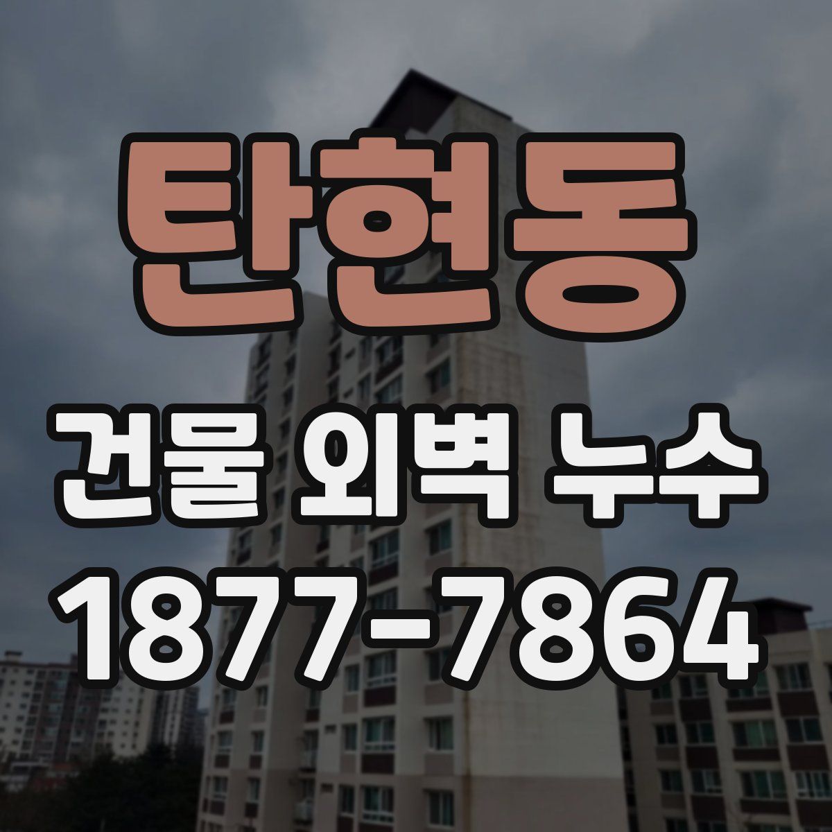 탄현동 건물 외벽 누수