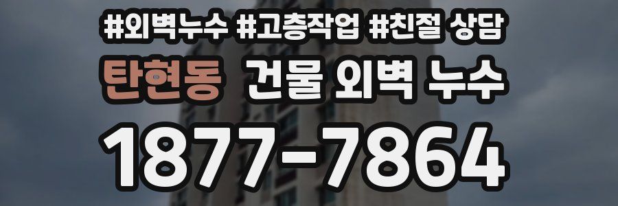 탄현동 건물 외벽 누수