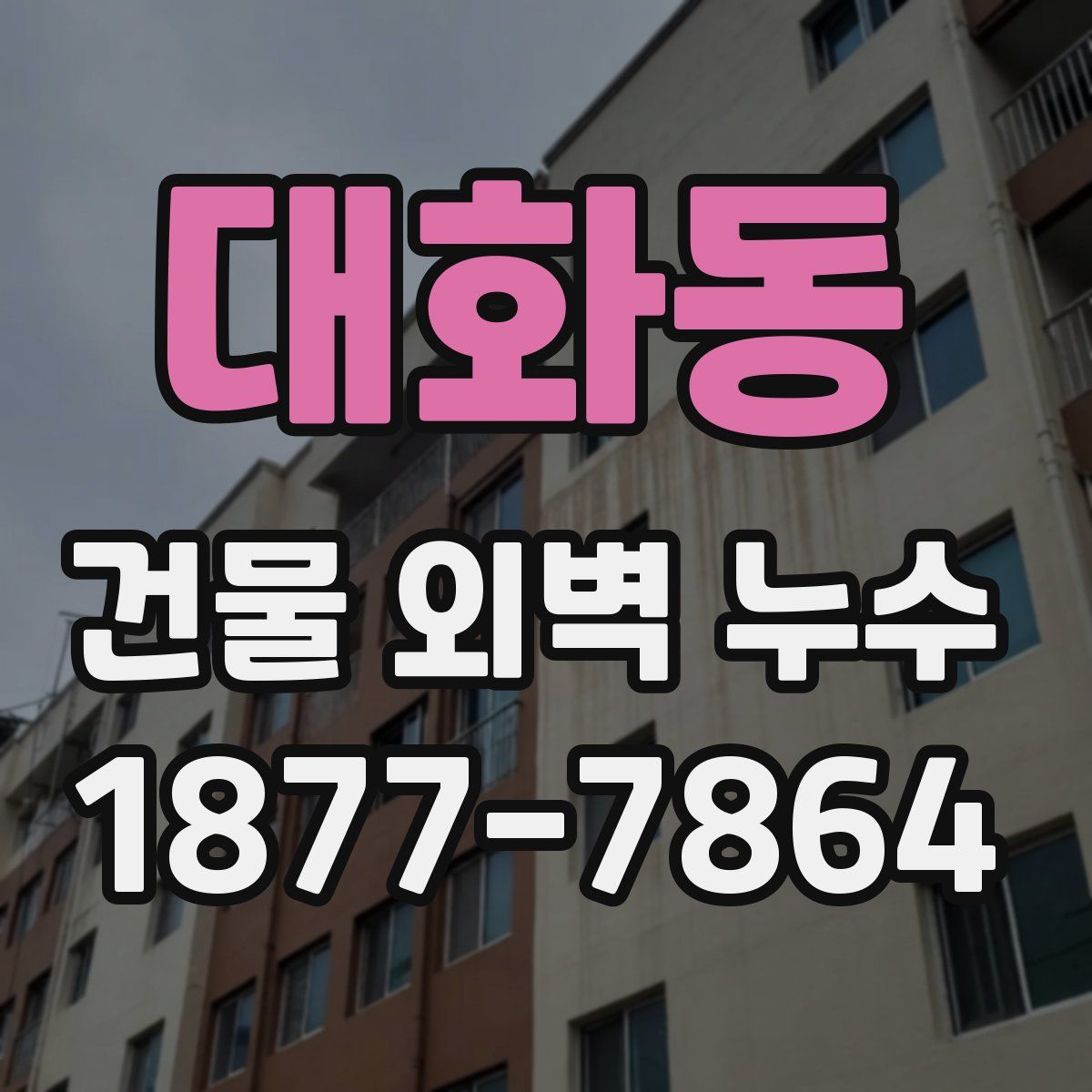 대화동 건물 외벽 누수