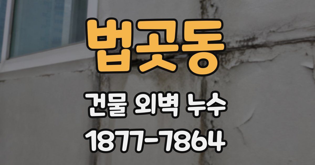 법곳동 건물 외벽 누수