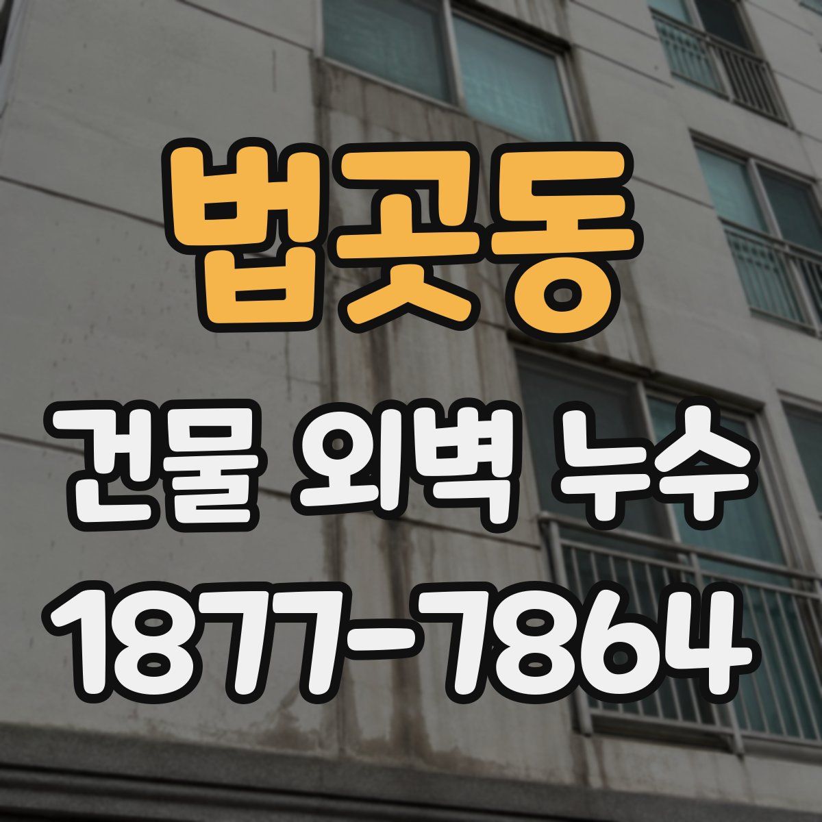 법곳동 건물 외벽 누수