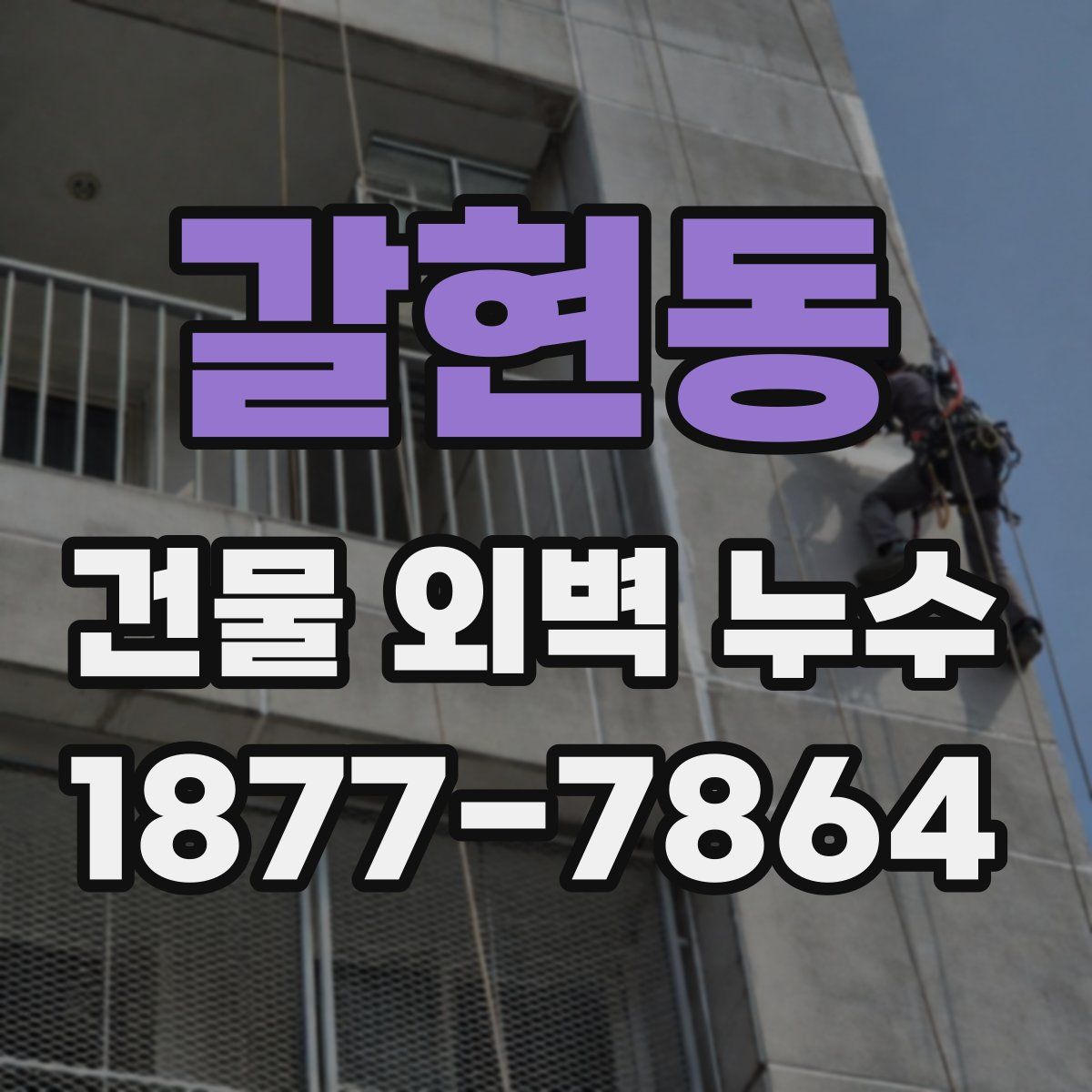 갈현동 건물 외벽 누수
