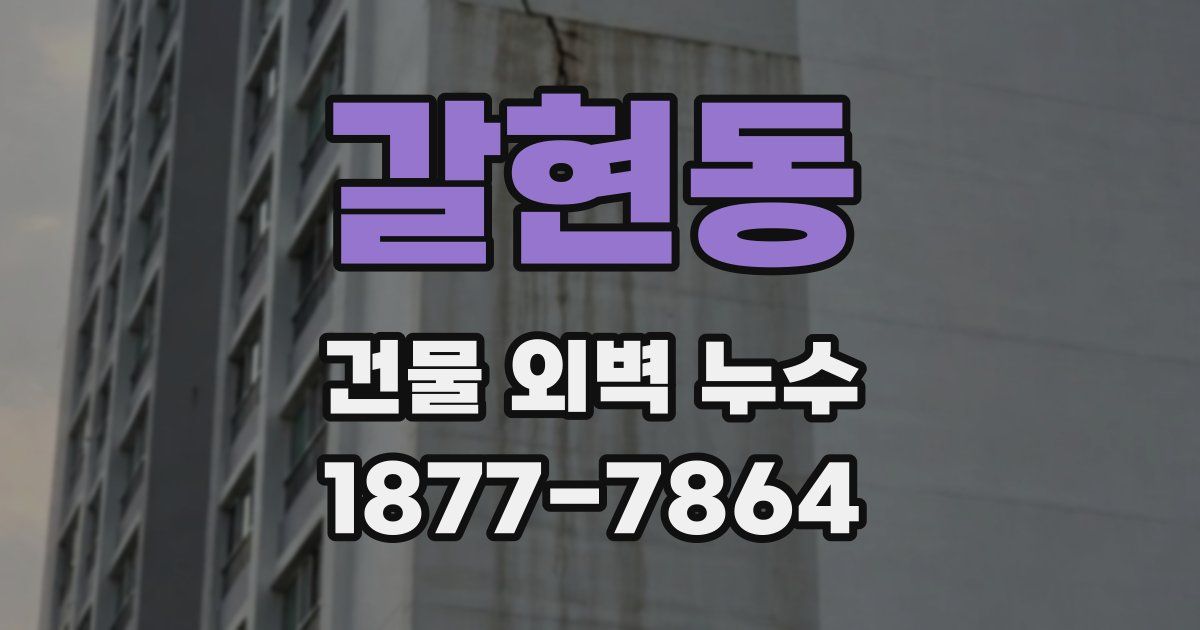 갈현동 건물 외벽 누수