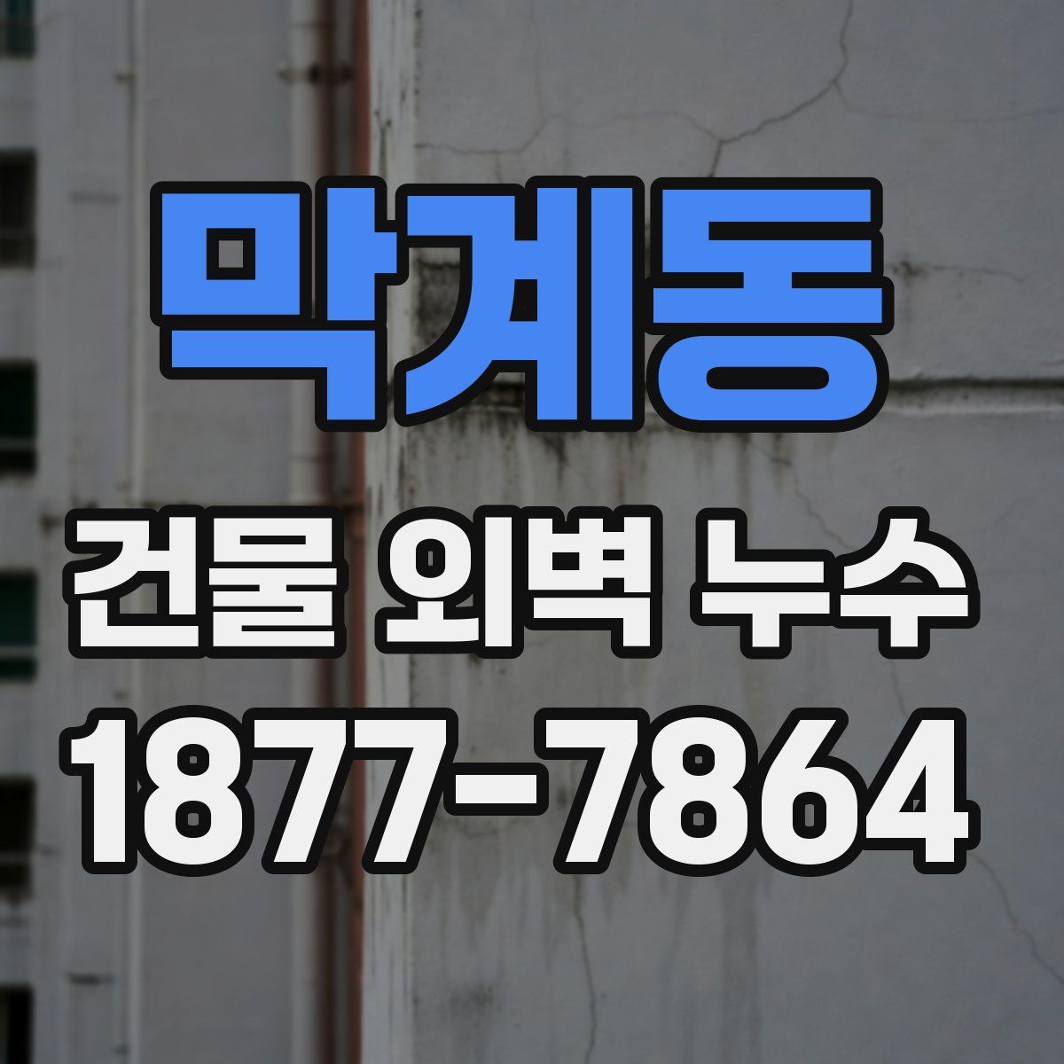 막계동 건물 외벽 누수