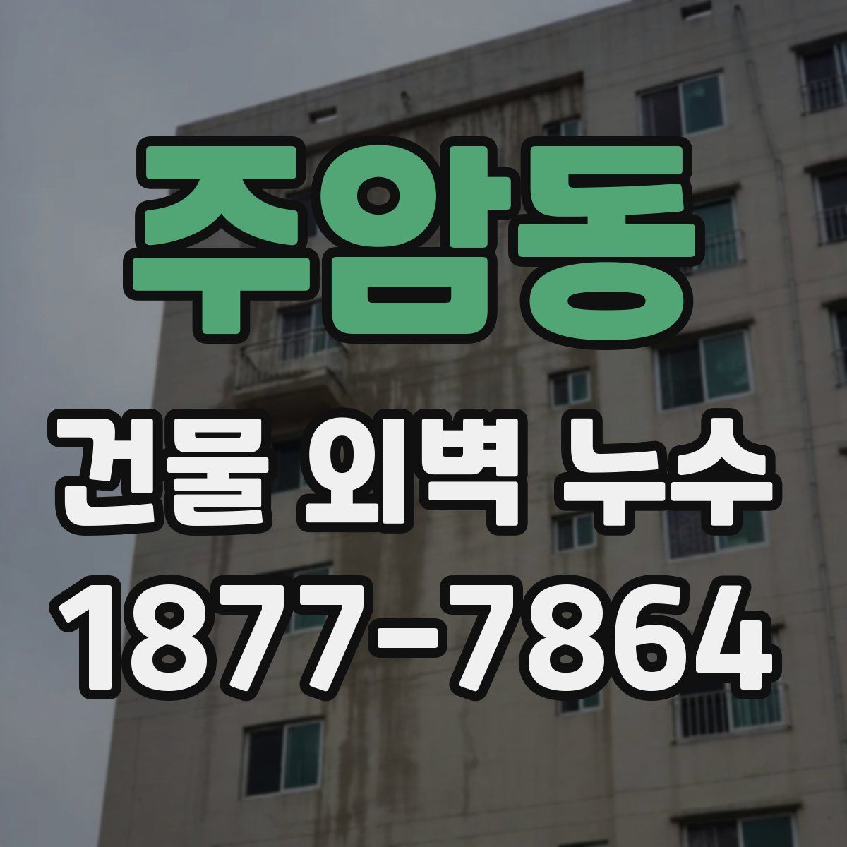 주암동 건물 외벽 누수