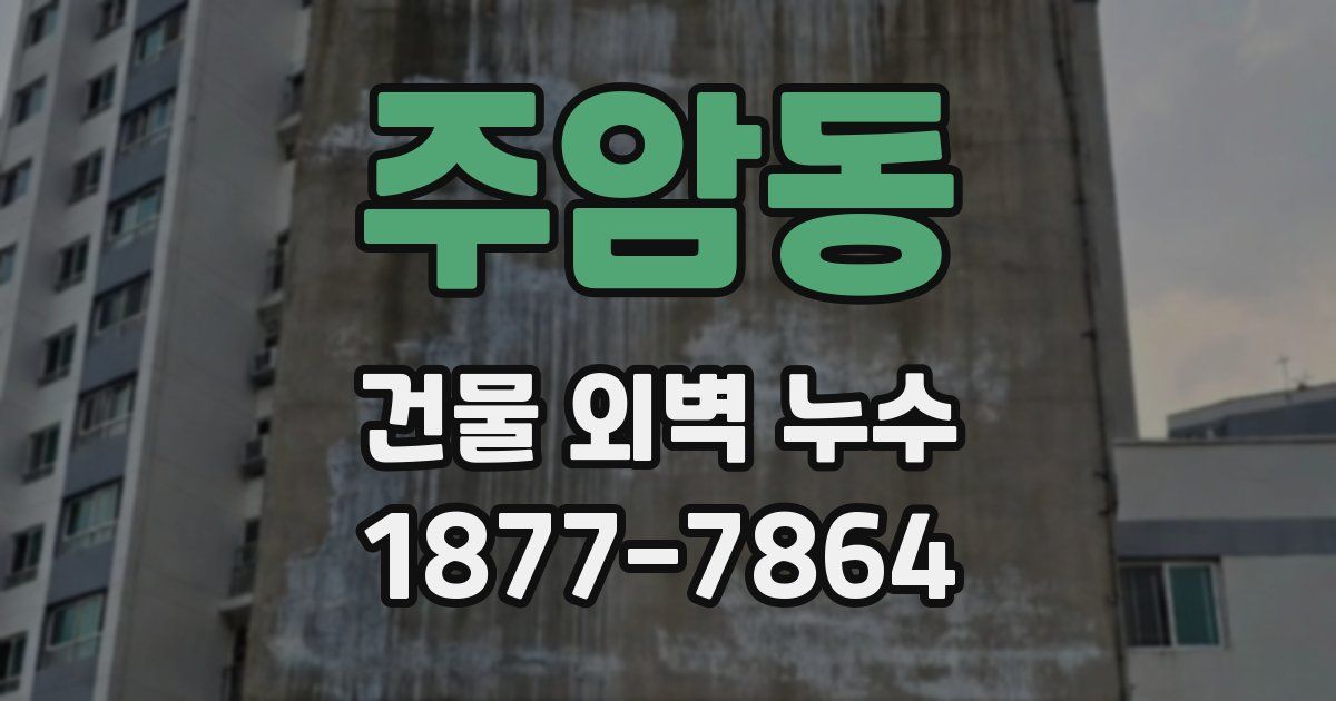 주암동 건물 외벽 누수
