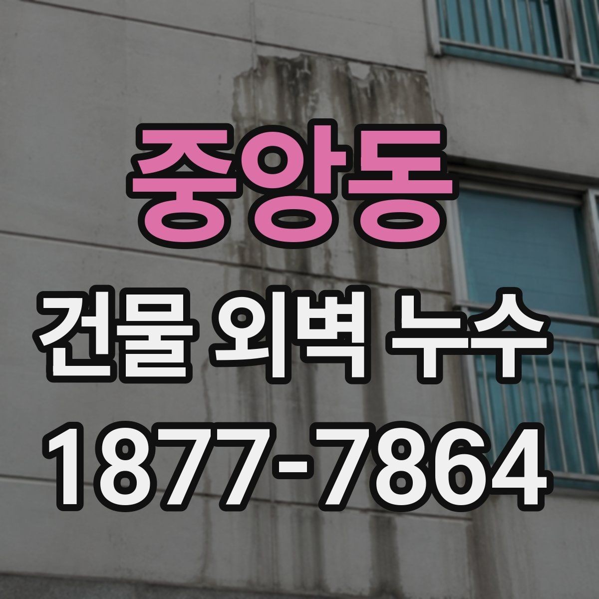 중앙동 건물 외벽 누수 발생 시 대응 방법