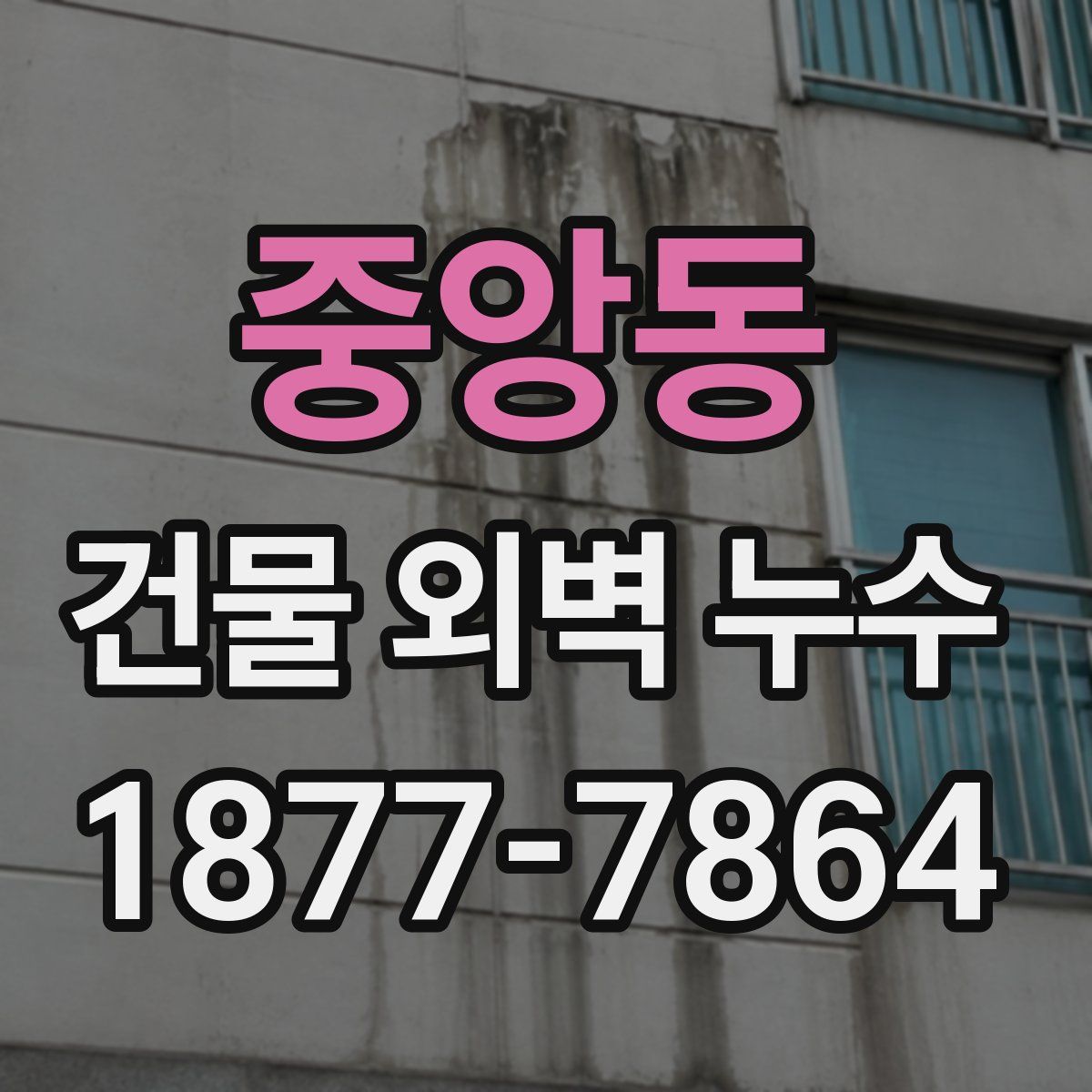중앙동 건물 외벽 누수