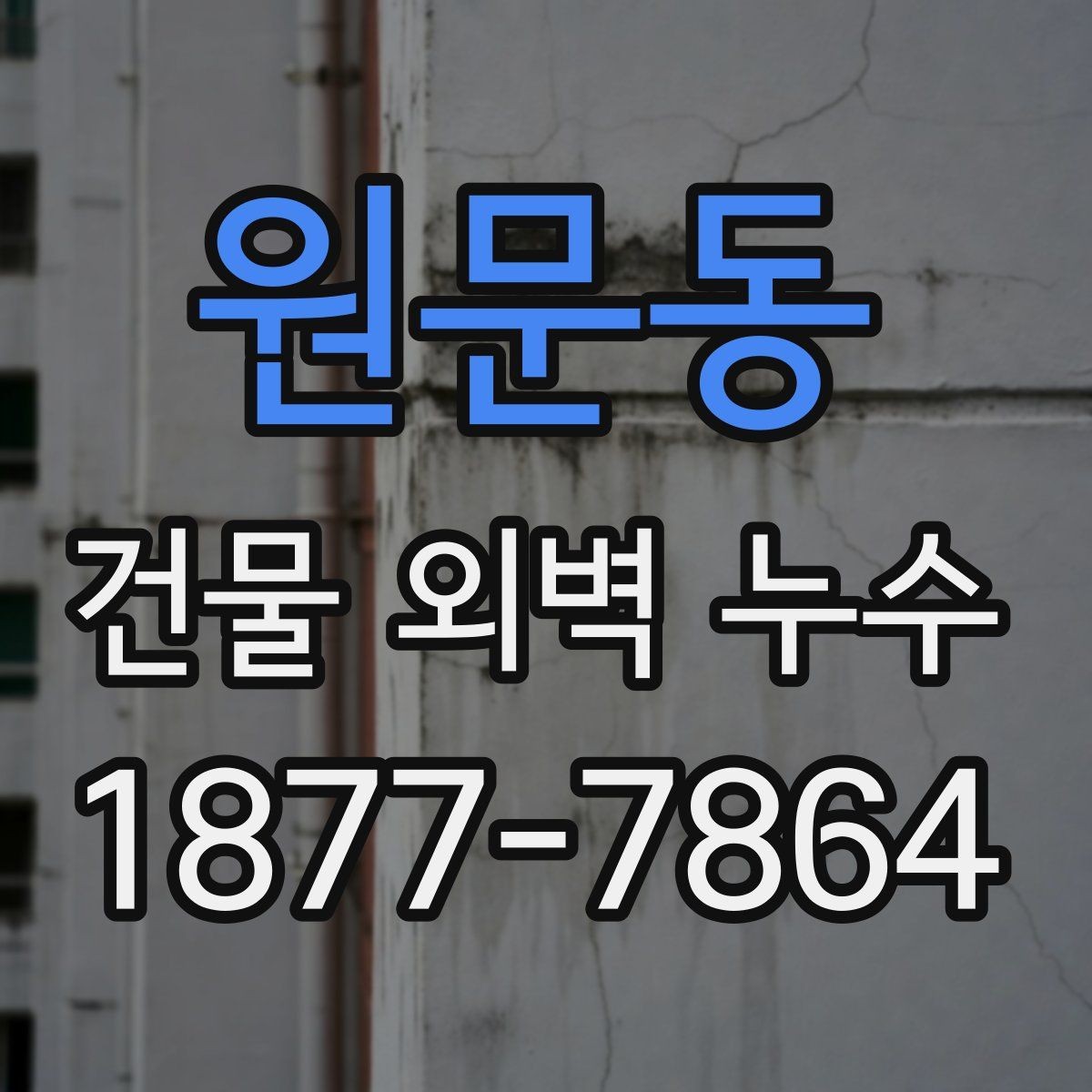 원문동 건물 외벽 누수 발생 시 우선 확인할 부위