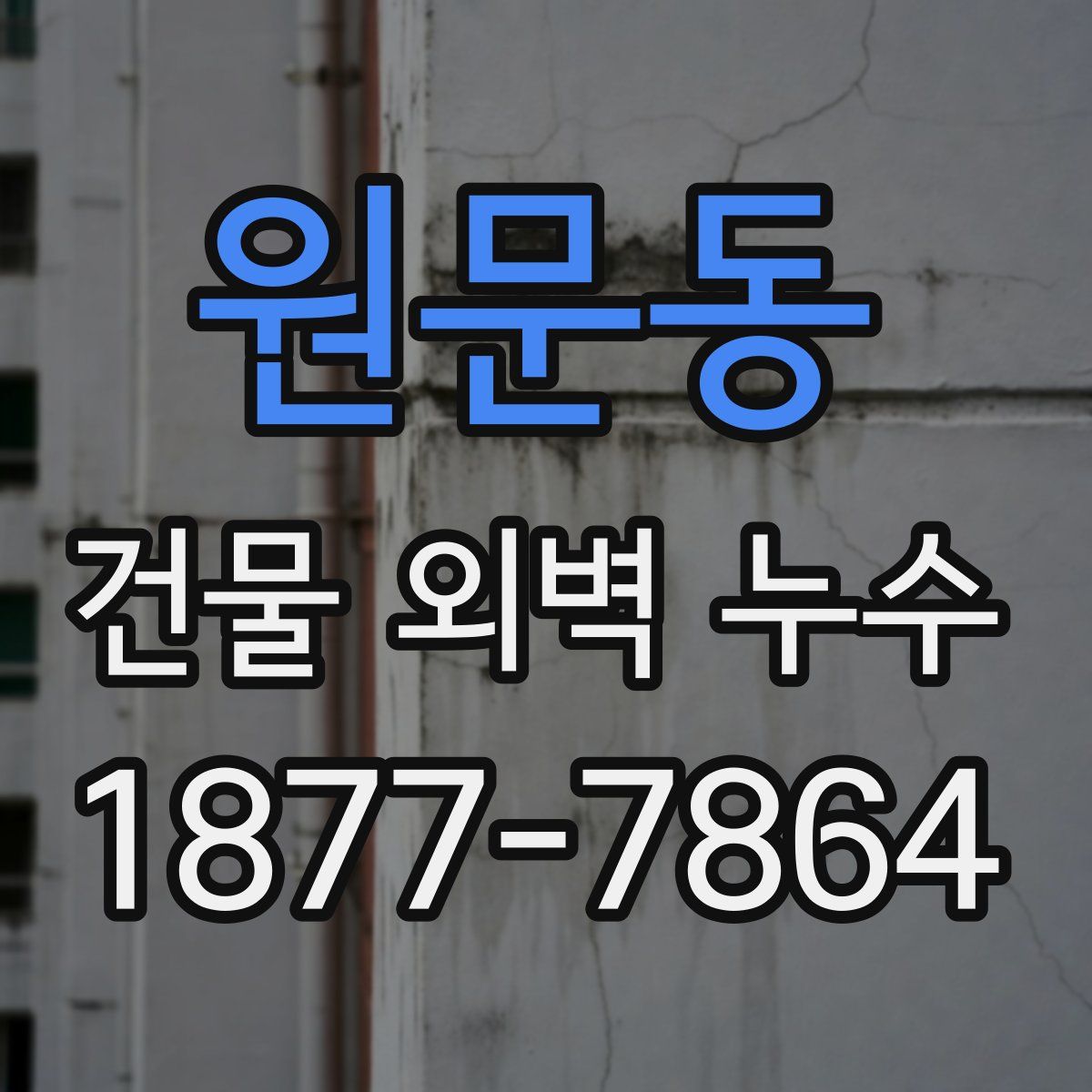 원문동 건물 외벽 누수
