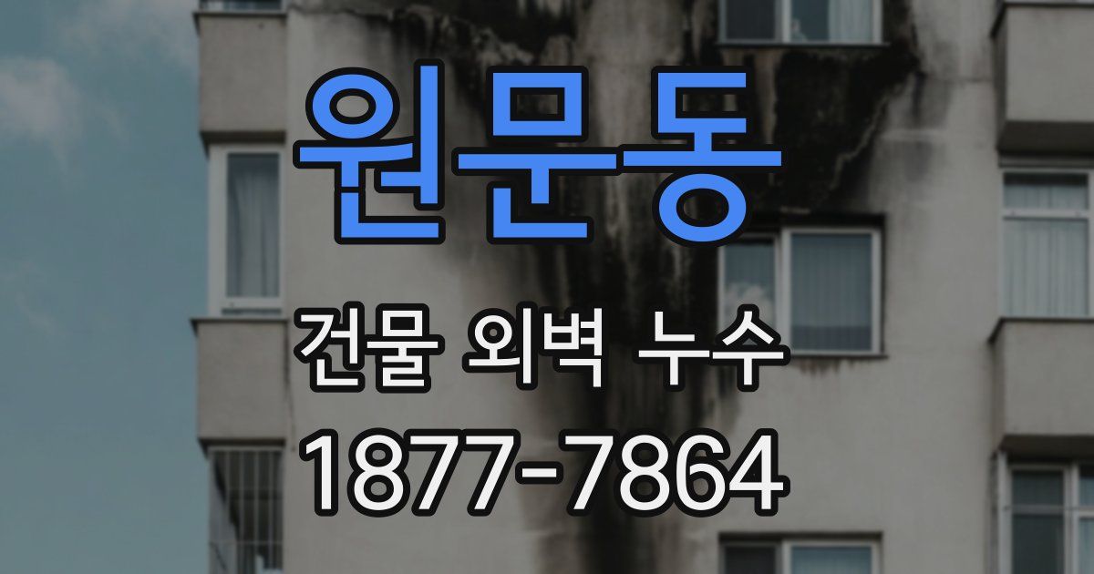 원문동 건물 외벽 누수