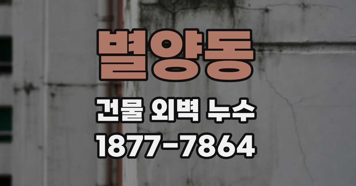 별양동 건물 외벽 누수