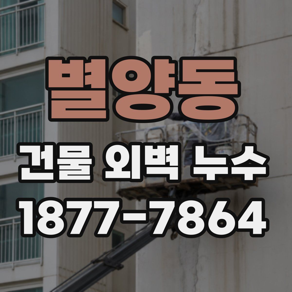 별양동 건물 외벽 누수