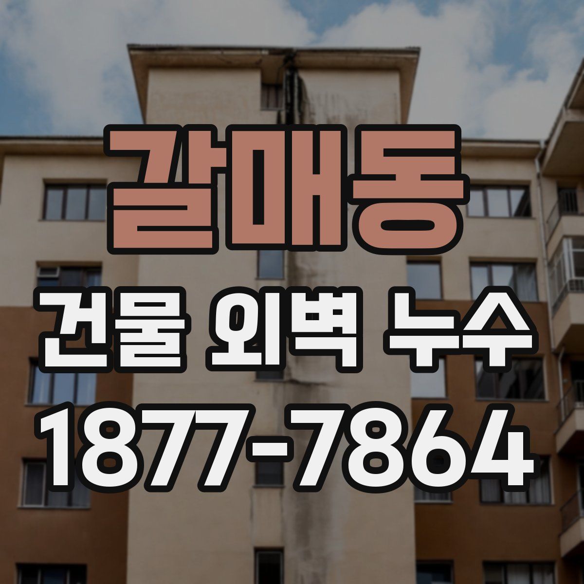 갈매동 건물 외벽 누수