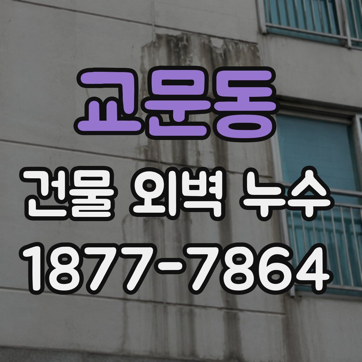교문동 건물 외벽 누수