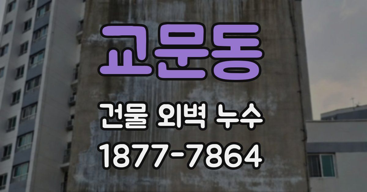 교문동 건물 외벽 누수