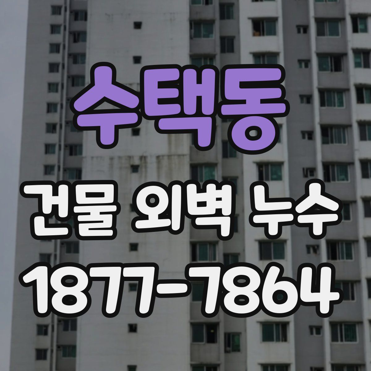 수택동 건물 외벽 누수