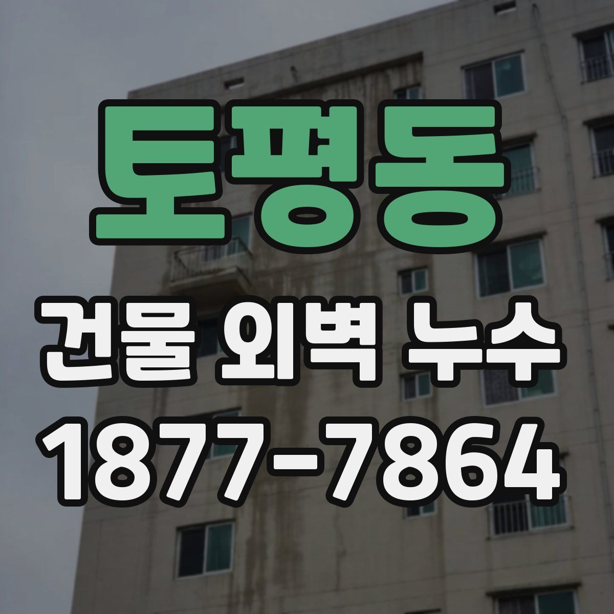 토평동 건물 외벽 누수