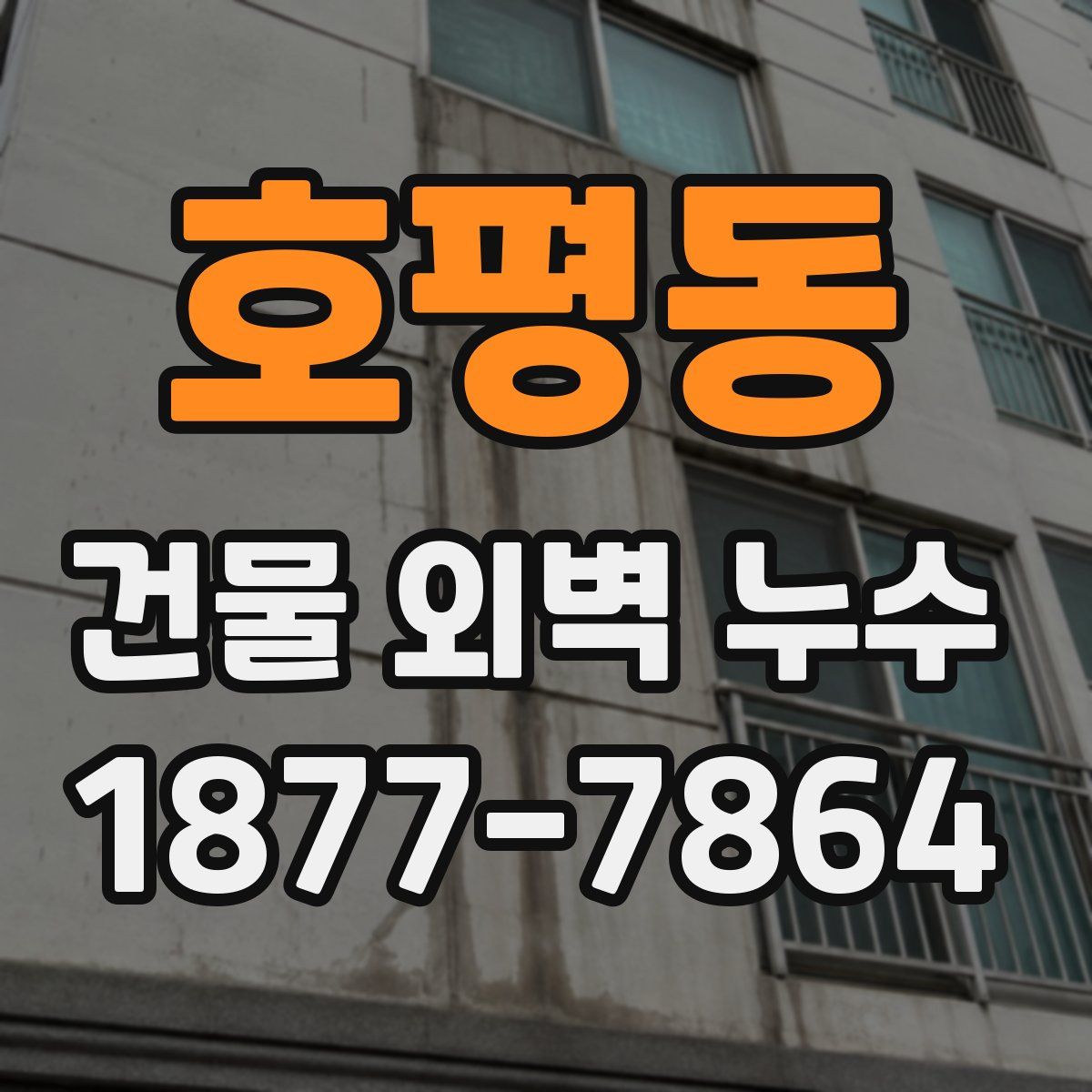 호평동 건물 외벽 누수