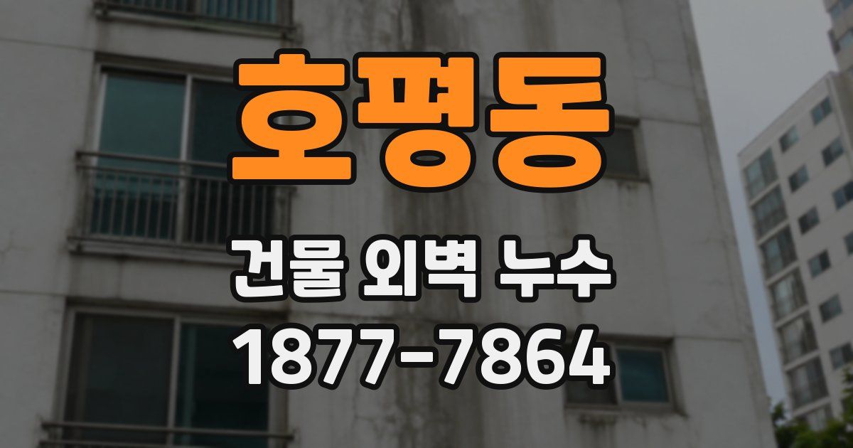 호평동 건물 외벽 누수