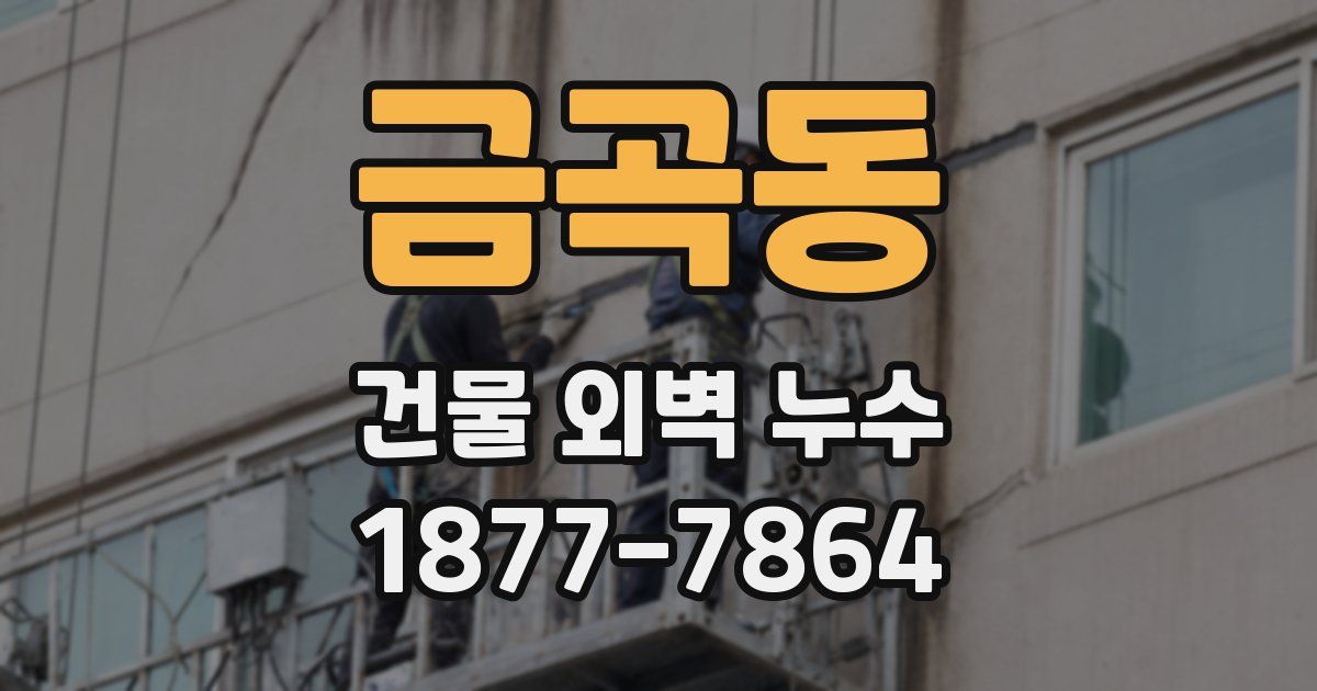 금곡동 건물 외벽 누수