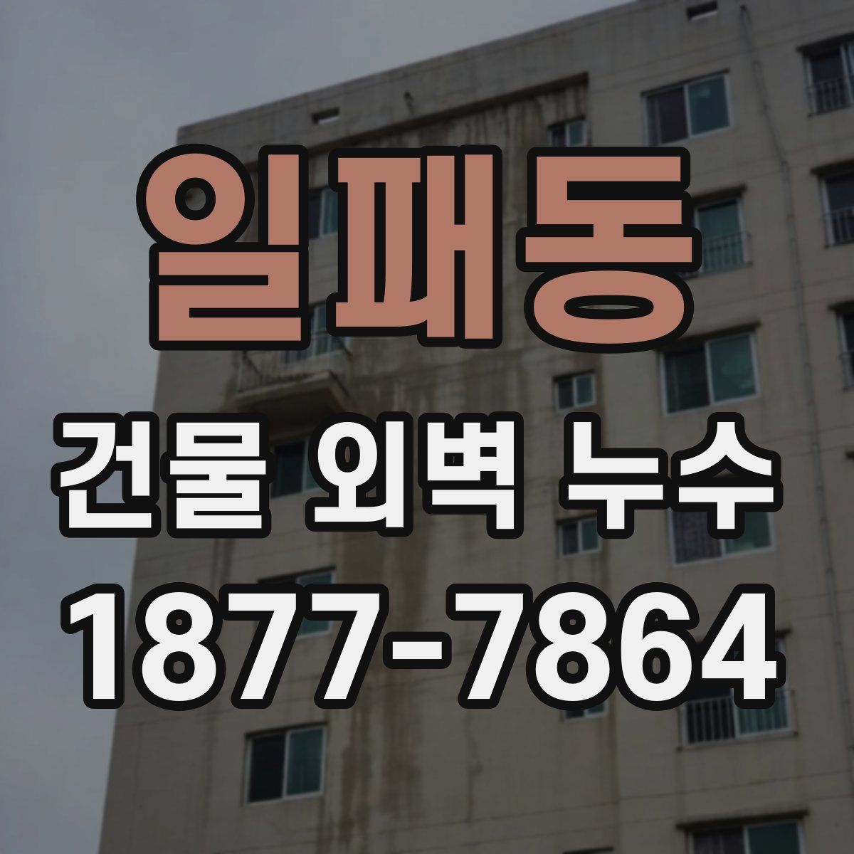 일패동 건물 외벽 누수