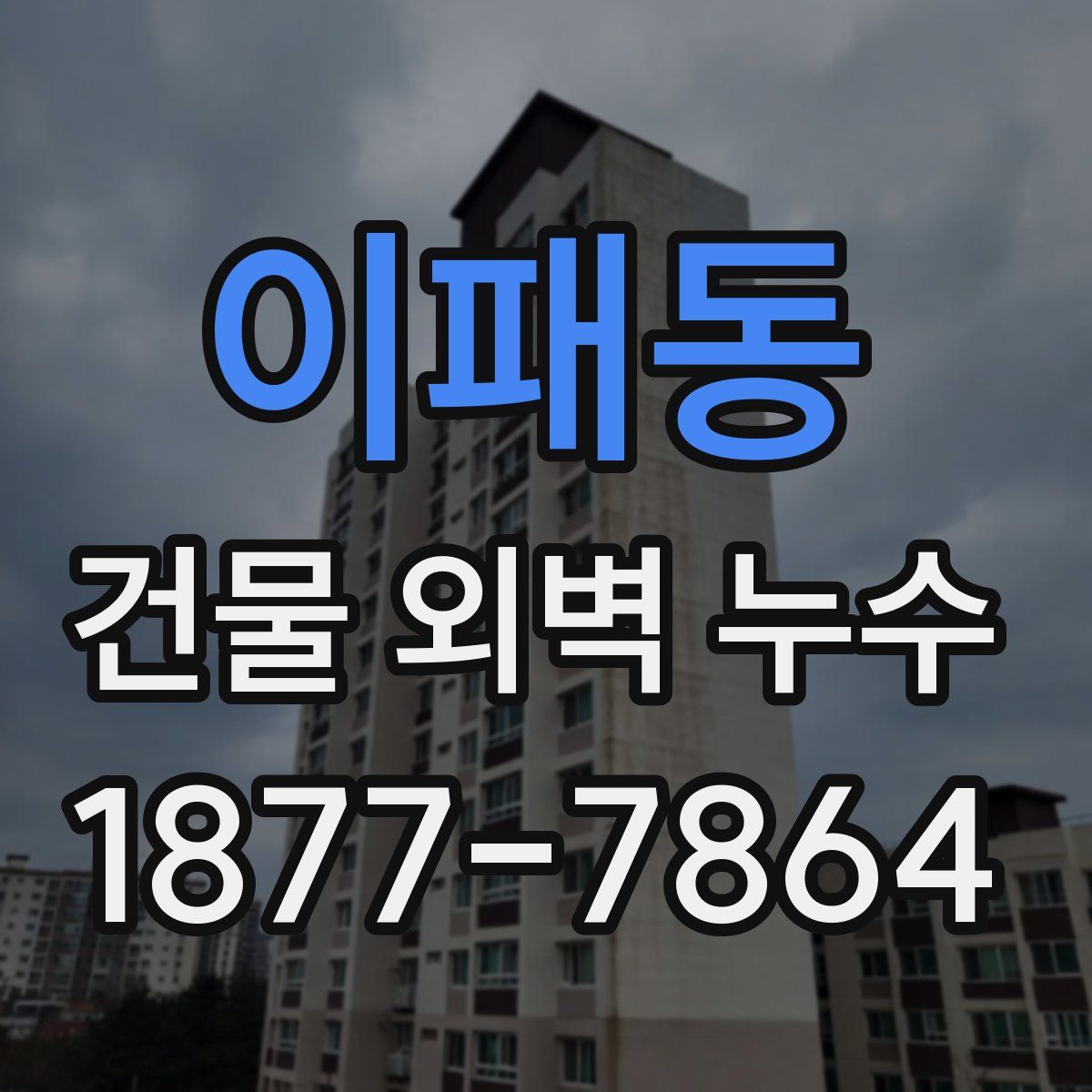 이패동 건물 외벽 누수