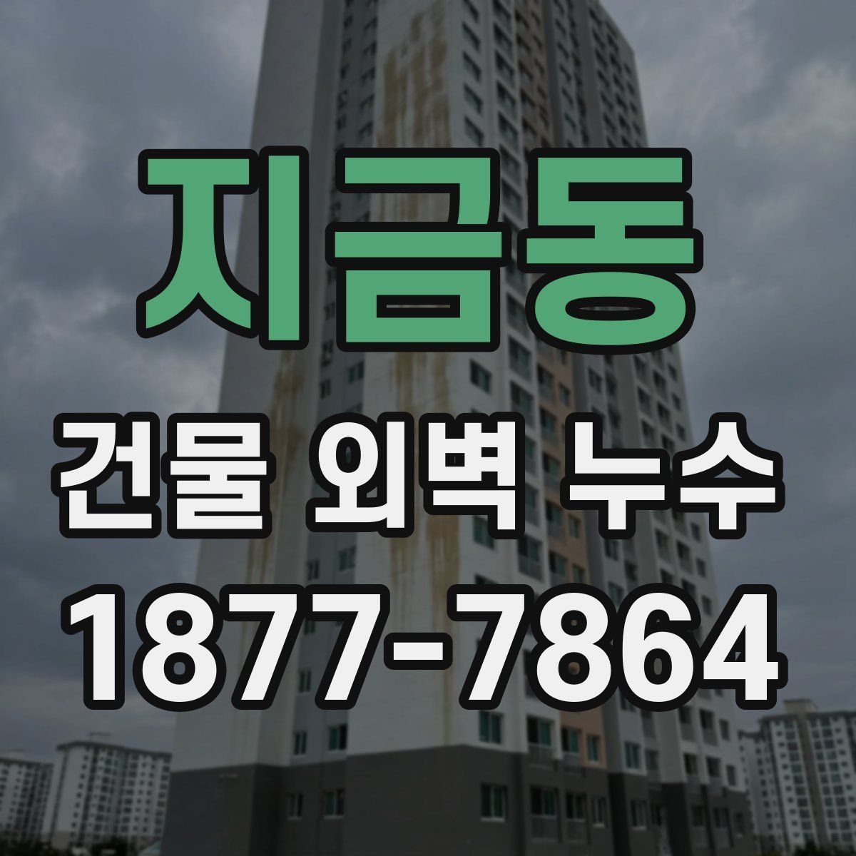 지금동 건물 외벽 누수