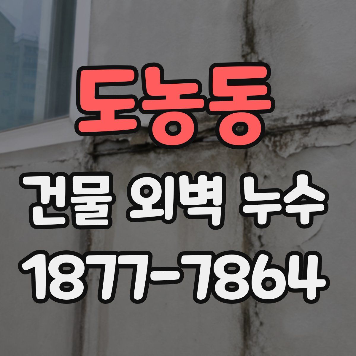 도농동 건물 외벽 누수