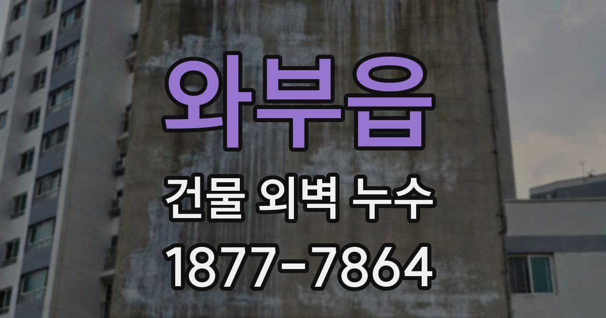 와부읍 건물 외벽 누수