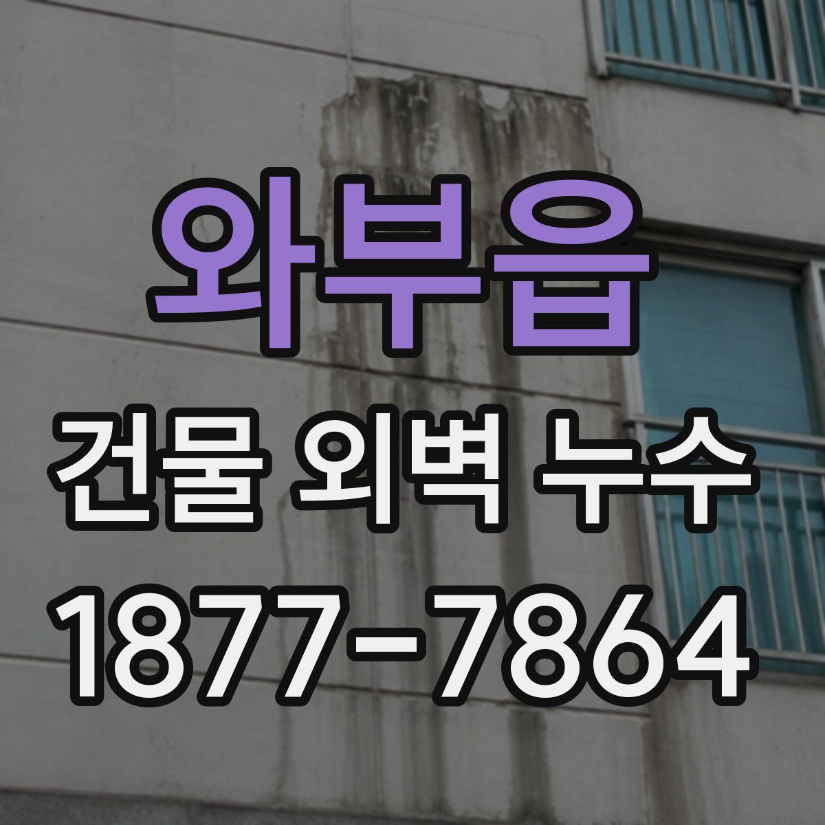 와부읍 건물 외벽 누수