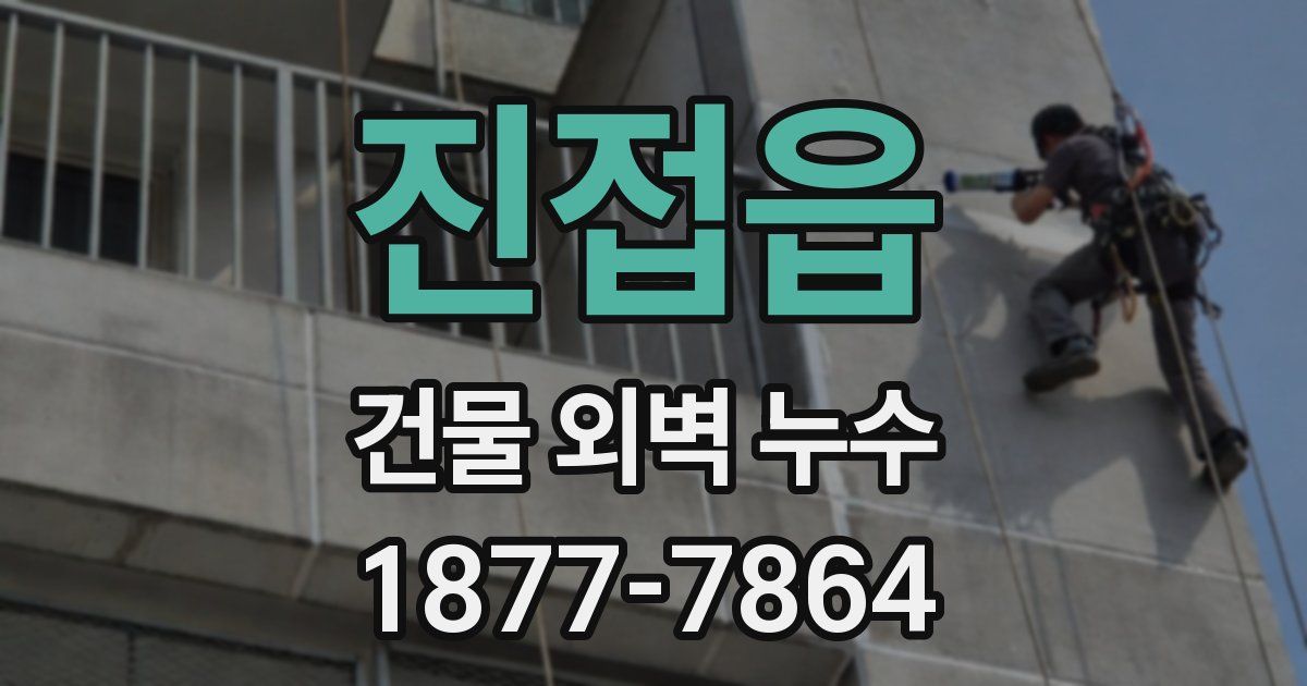 진접읍 건물 외벽 누수
