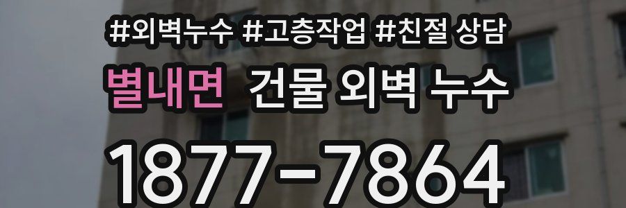 별내면 건물 외벽 누수