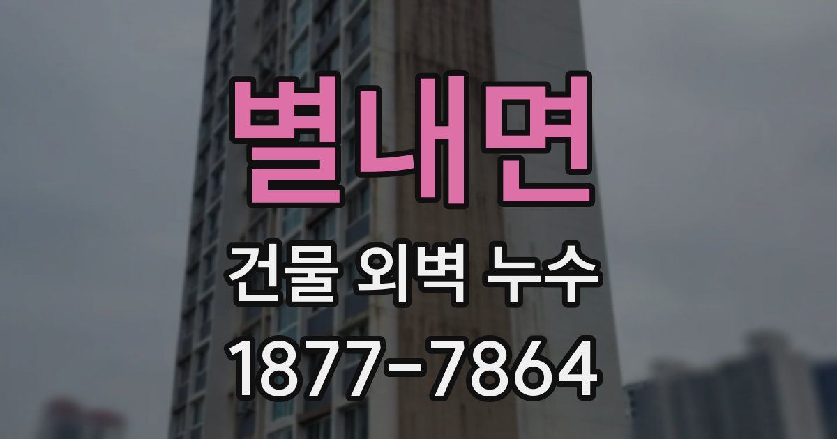 별내면 건물 외벽 누수