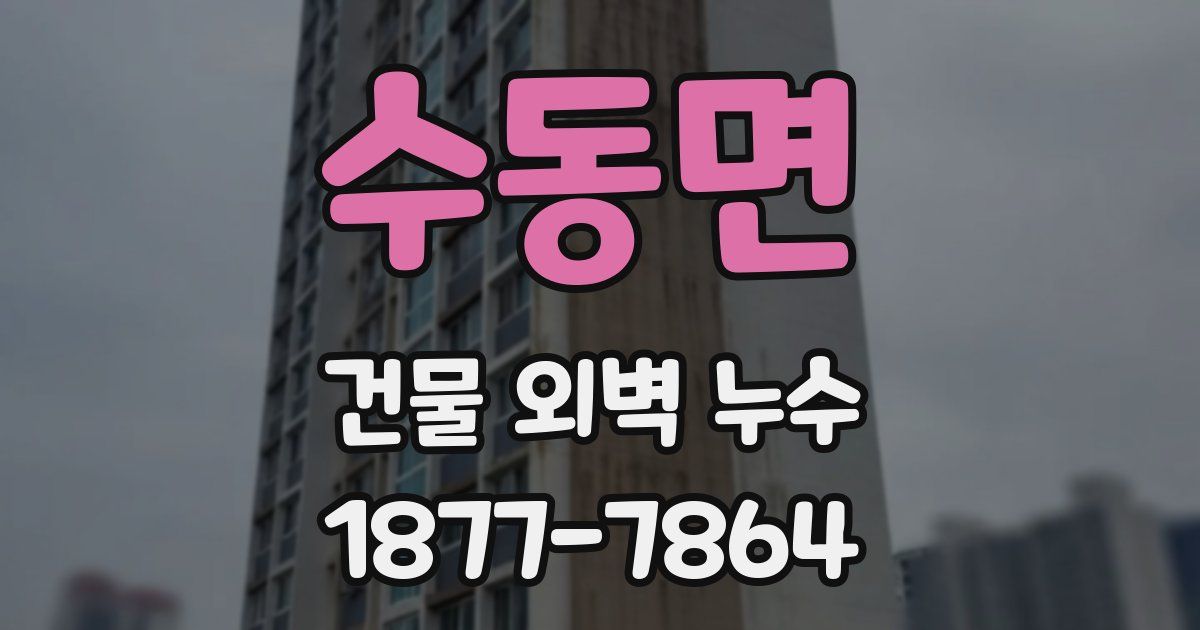 수동면 건물 외벽 누수
