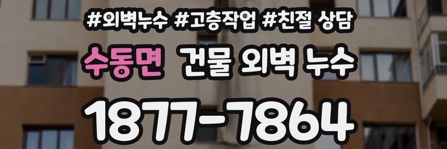 수동면 건물 외벽 누수