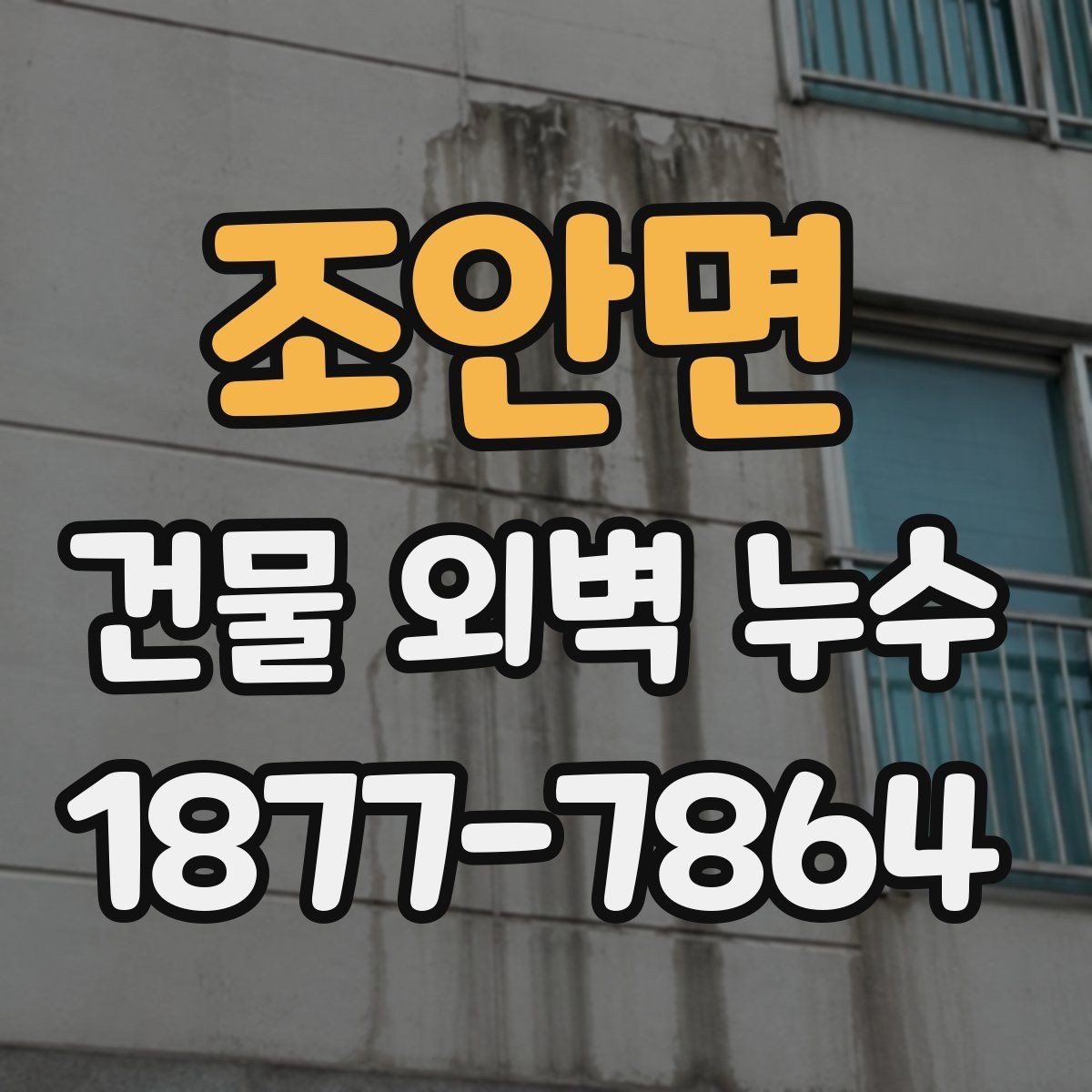 조안면 건물 외벽 누수 원인을 정확히 찾기 위한 조사 방법