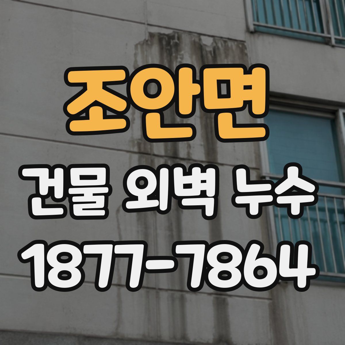 조안면 건물 외벽 누수