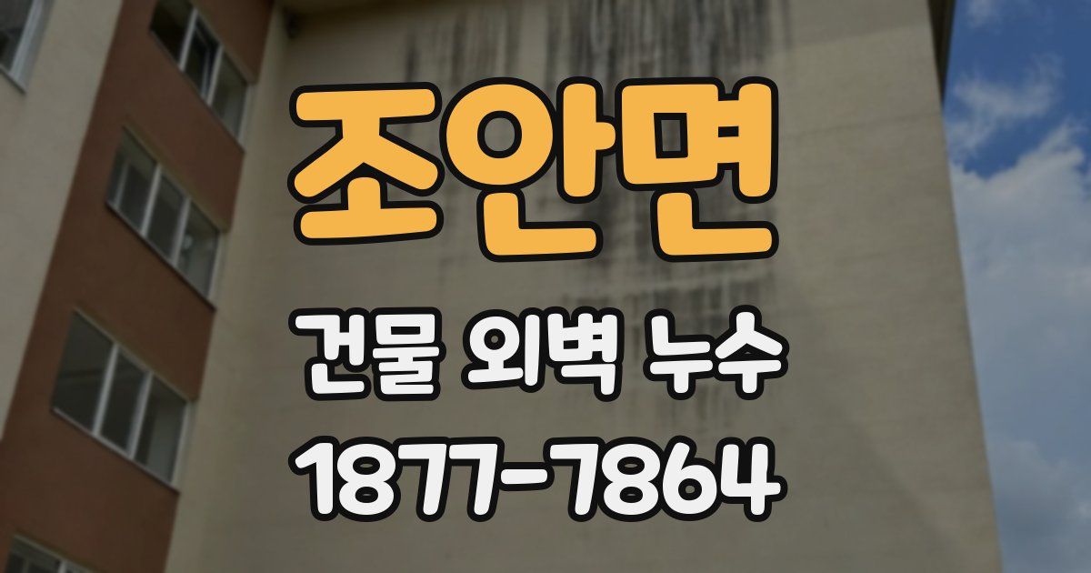 조안면 건물 외벽 누수