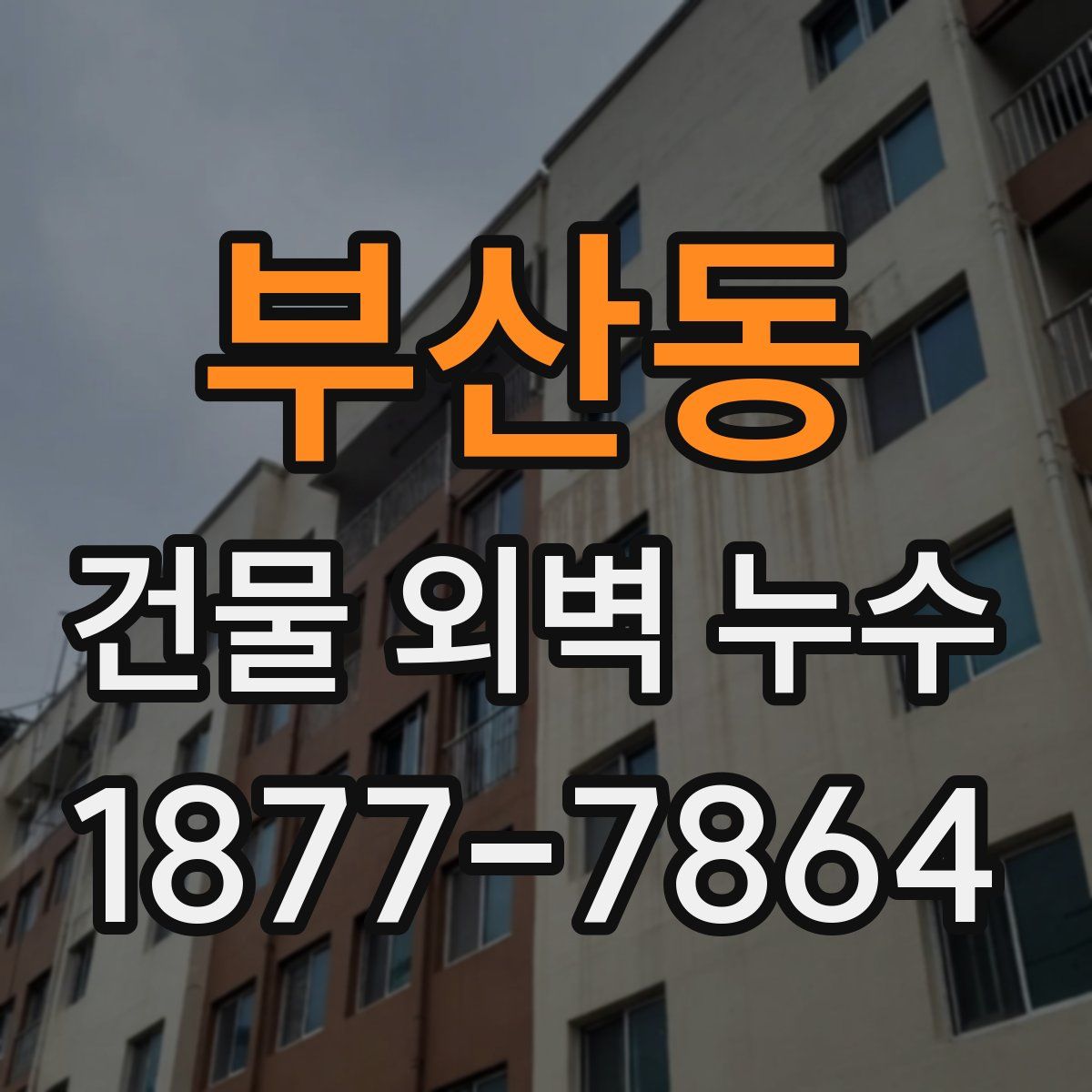 부산동 건물 외벽 누수