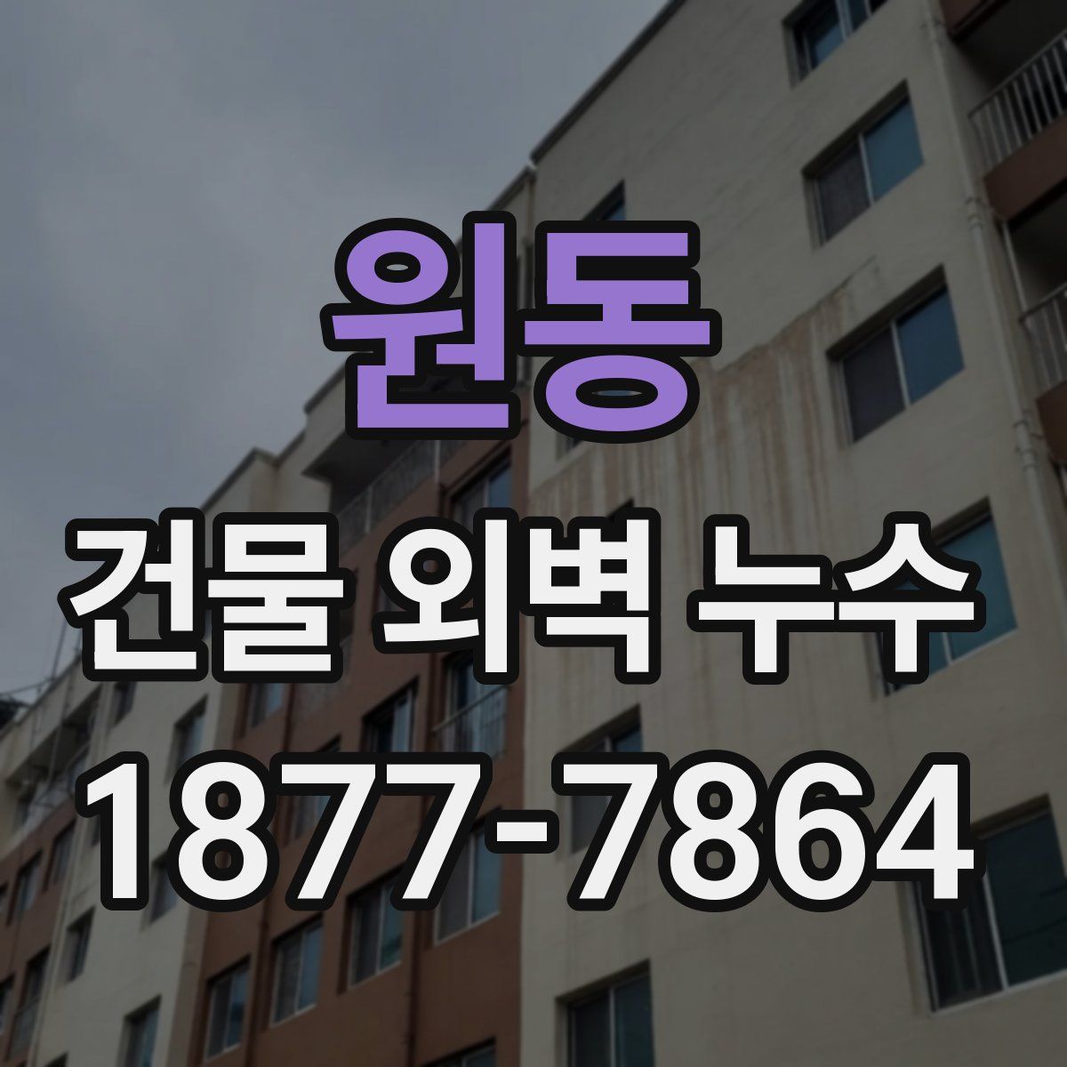 원동 건물 외벽 누수