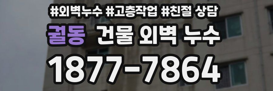 궐동 건물 외벽 누수