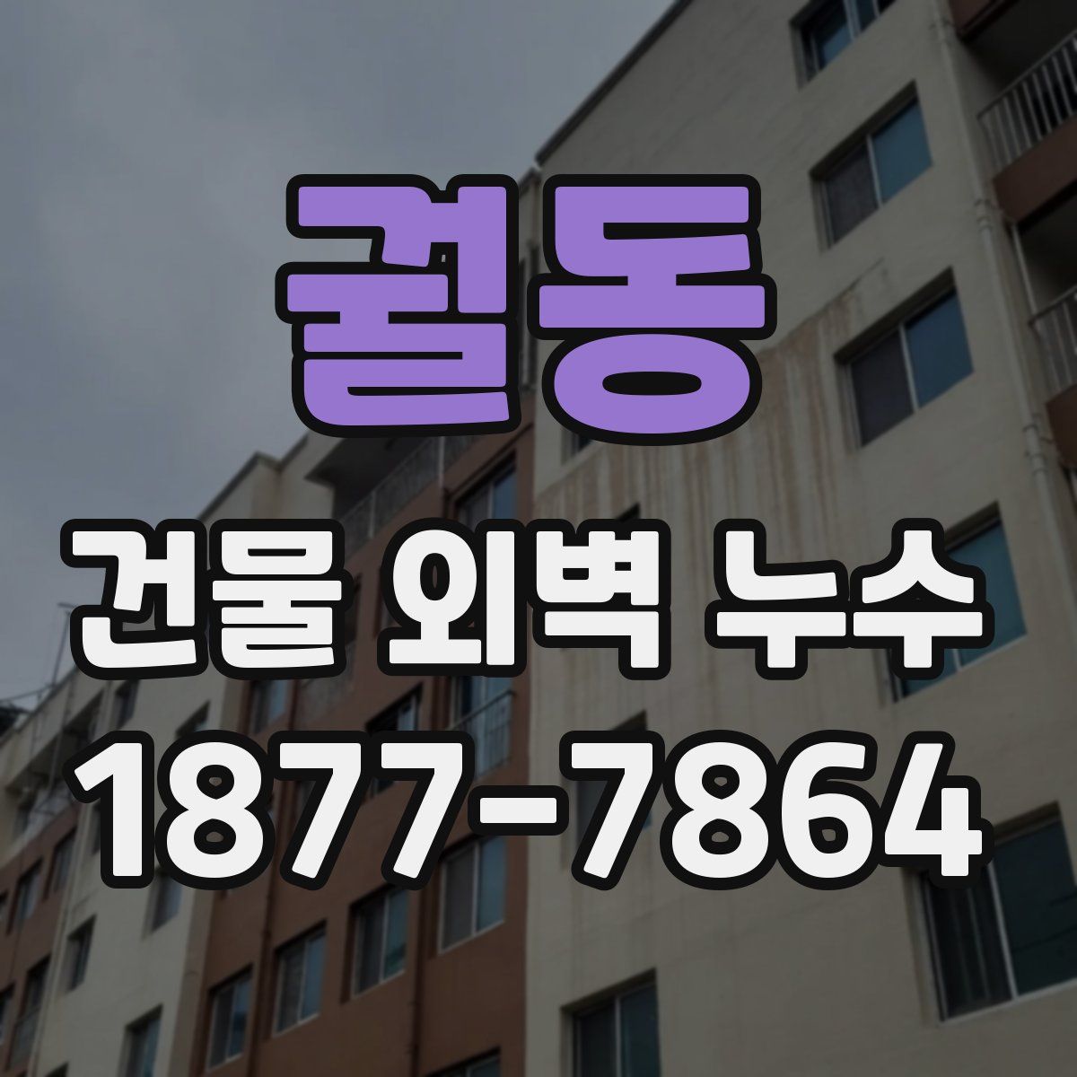 궐동 건물 외벽 누수