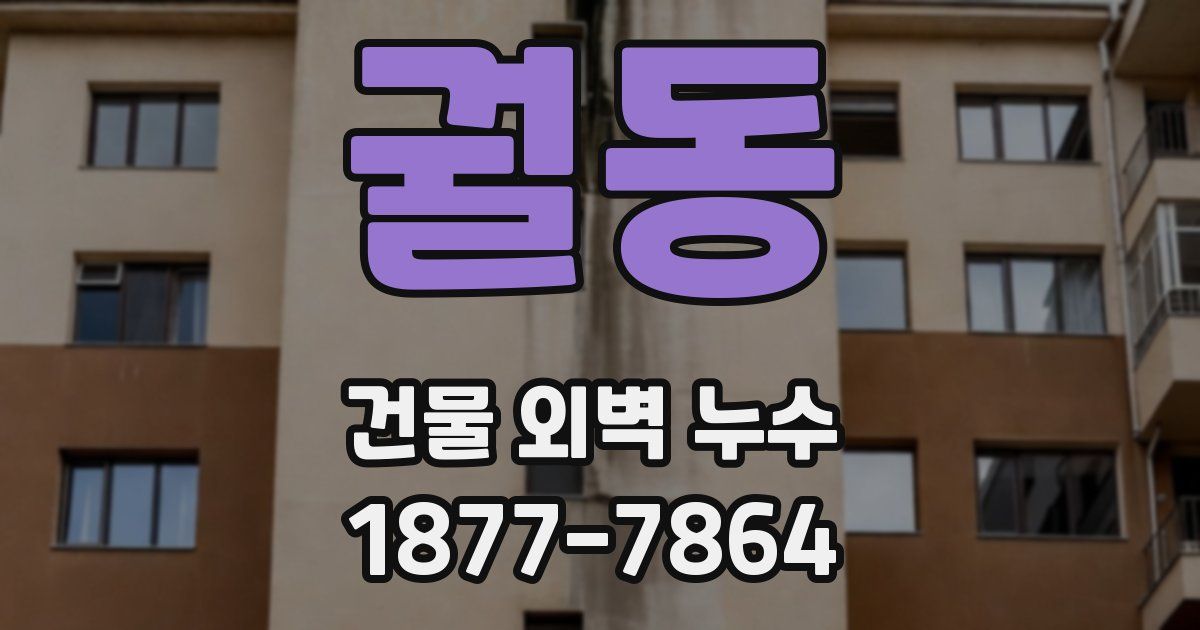 궐동 건물 외벽 누수